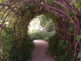 A view through the Vine Arch