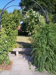 View through the Arbour to the Presbytery Lawn