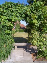 View through the Arbour to the Presbytery Lawn