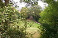 Looking down the hill