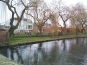 Rear of the Leisure Centre