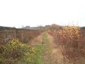 View looking North to St Catherines Hill in the far centre distance.