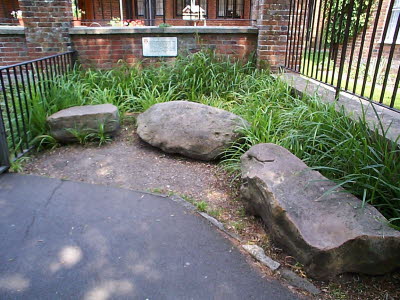 This group of 3 is in Abbey Gardens.